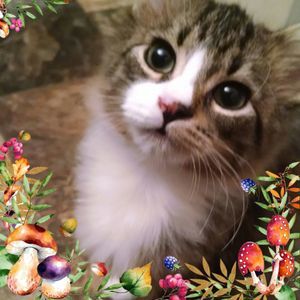 Meet your Posher, Lynn